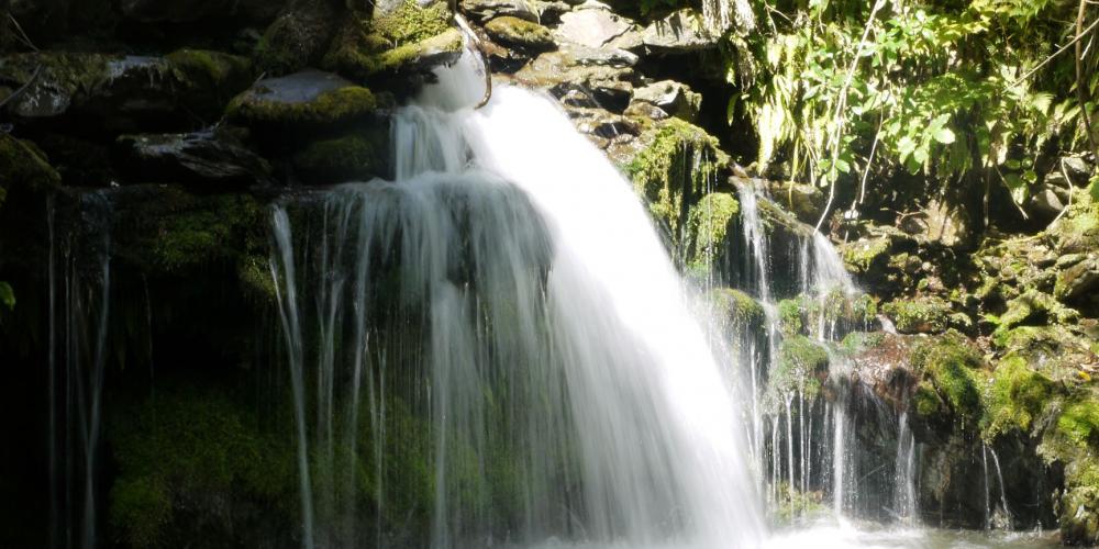 Waterfall by Andy MacDonald Brook Waimārama Sanctuary