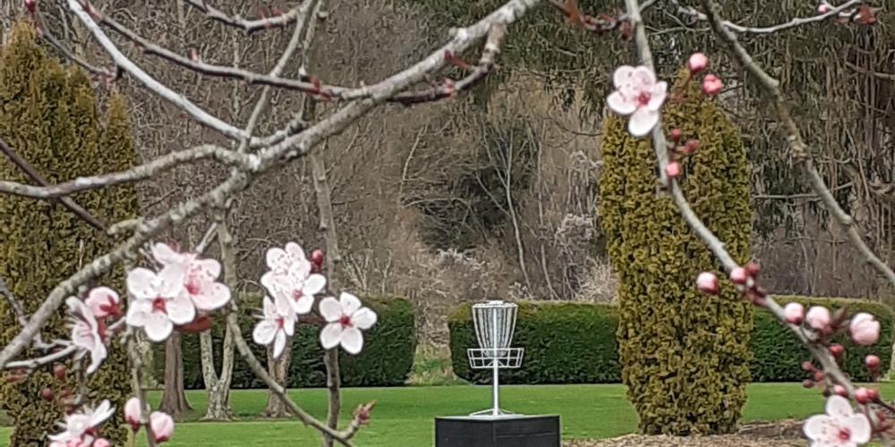 disc golf blossom Redstone Golf Park