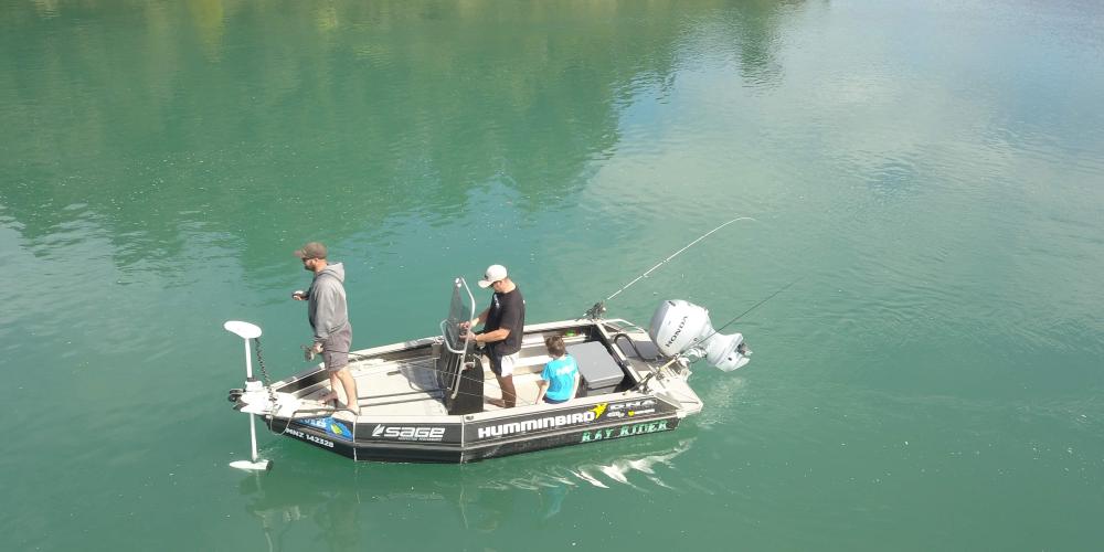 received 211889870062448 NZ Trout Adventures - Charter fishing