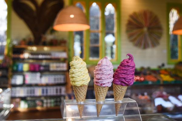 The Best Ice Creams in Nelson Tasman