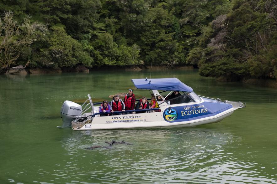Boat and Seals credit Abel Tasman Eco Tours