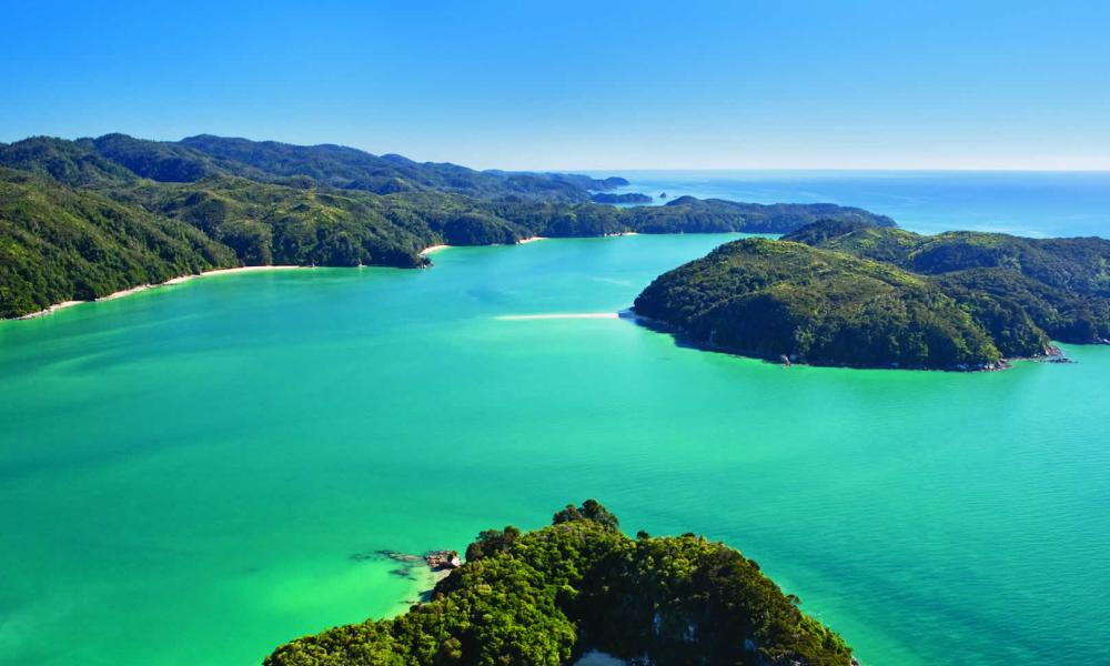 Tourism operators collaborate to connect Nelson city and Abel Tasman National Park with a new, Better Bus service 