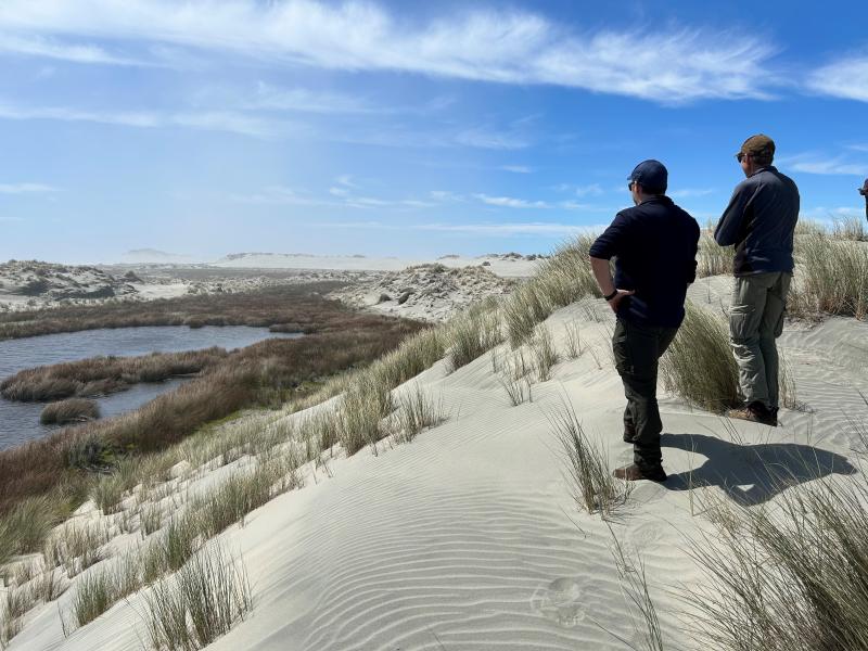 Buy a trap to support predator eradication at Farewell Spit